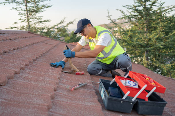 Roof Gutter Cleaning in Rothschild, WI